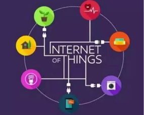 全球物聯網市場蓬勃發展，中國引領創新與實踐浪潮